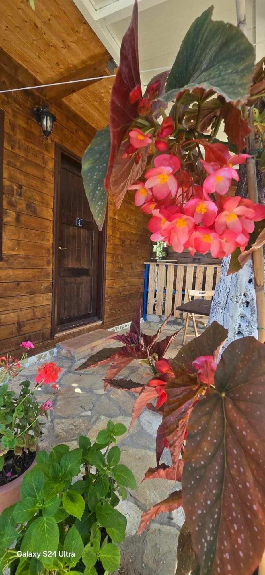 Holiwood Motel Himare Exterior photo